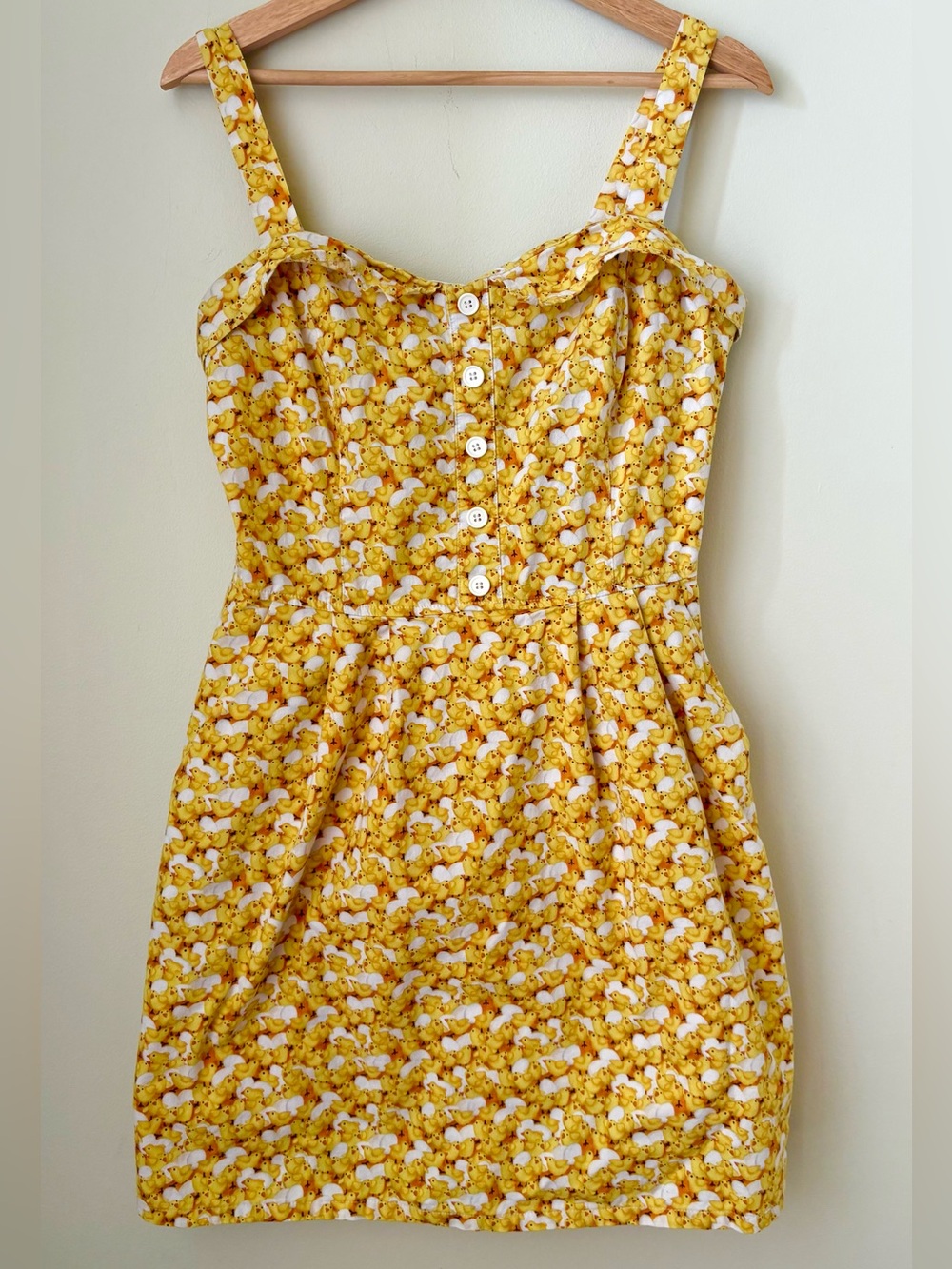 Birds of North America Sylph dress with chick & egg print sz 10 / L